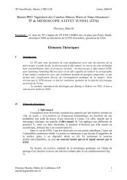 TP de MICROSCOPIE A EFFET TUNNEL (STM) ElÃ©ments ... - CNRS