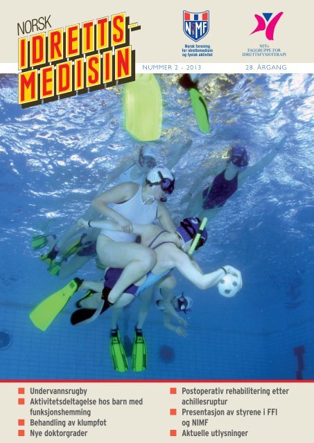 NIM nr 2 2013.pdf
