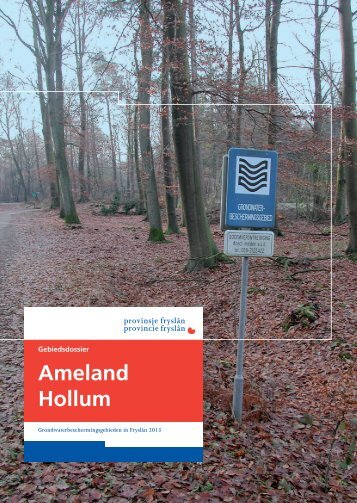 [91]Gebiedsdossier Ameland Hollum.pdf - Provincie FryslÃ¢n