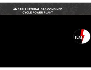 AMBARLI NATURAL GAS COMBINED CYCLE POWER PLANT