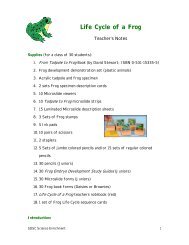 Print the Life Cycle of a Frog Teacher's Notes. - SDSC Education