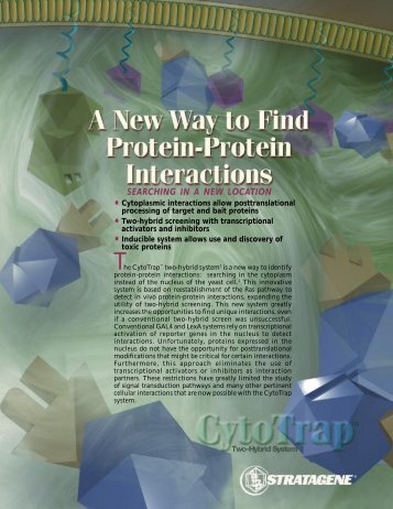 Cytotrap Brochure - The Jena Protein-Protein Interaction Website