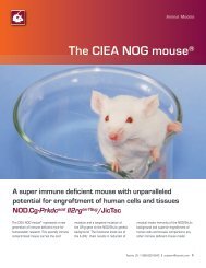 The CIEA NOG mouse - Taconic