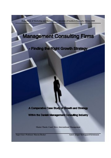 Chapter 2 The Danish Management Consulting Industry