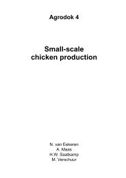 Small-scale chicken production - Journey to Forever