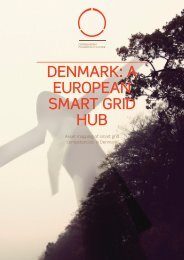 denmark: a european smart grid hub - Copenhagen Cleantech Cluster