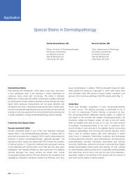 Special Stains in Dermatopathology - Dako