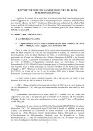 RAPPORT DE SUIVI DE LA MISE EN ÅUVRE DU PLAN - ICDT