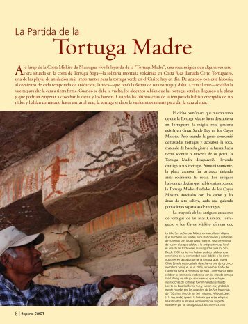 Tortuga Madre