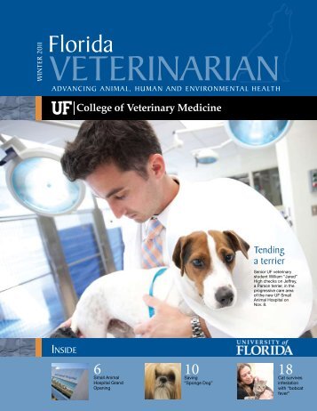 Florida Veterinarian, Winter 2011 (PDF) - University of Florida ...