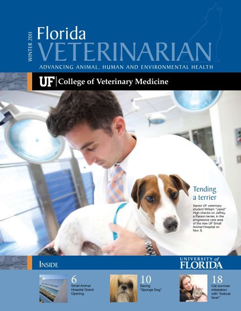 Florida Veterinarian, Winter 2011 (PDF) - University of Florida ...