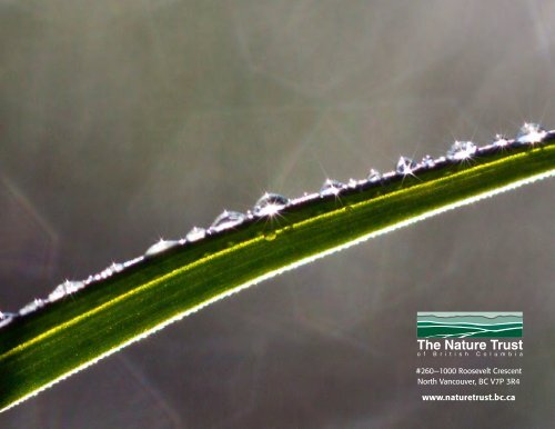 2012 Annual Report - Nature Trust of British Columbia