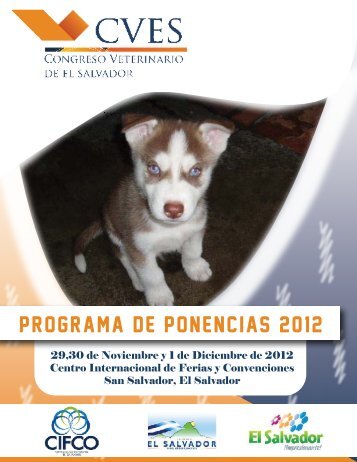 Programa de Ponencias 2012