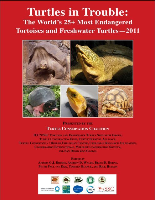 Turtles in Trouble: The World's 25+ Most Endangered - Wildlife ...