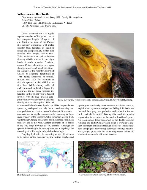 Turtles in Trouble: The World's 25+ Most Endangered - Wildlife ...