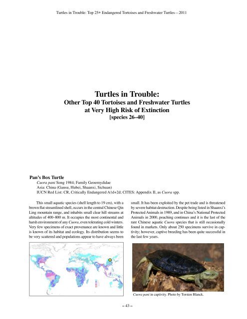 Turtles in Trouble: The World's 25+ Most Endangered - Wildlife ...