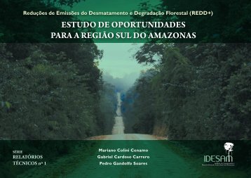 estudo de oportunidades para a regiÃ£o sul do amazonas