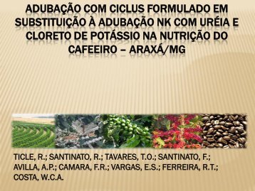 adubação com ciclus formulado em substituição à adubação nk com ...