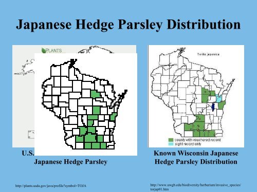 Japanese Hedge Parsley Ecology and Use of Mowing as a ...