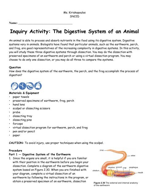 dissection of frog, perch, worm lab.pdf