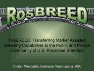 RosBREED: Transferring Marker Assisted Breeding Capabilities to ...