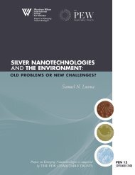 Silver Nanotechnologies and the Environment - Project on Emerging ...