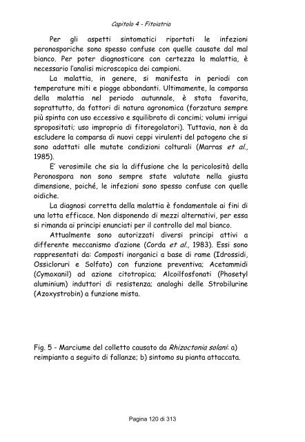 Il carciofo [file .pdf] - Sardegna Agricoltura