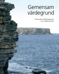 Gemensam vÃ¤rdegrund - VÃ¥rdfÃ¶rbundet