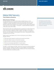 Mobile RAN Telemetry - Sycamore Networks, Inc.