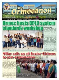 Ormoc hosts BPLO system standards workshop - City Government of ...