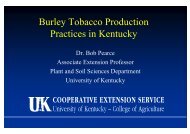 Pearce KY Tobacco Pr..