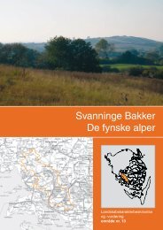 Svannige Bakker (Fyn) - Nationalpark Sydfyn