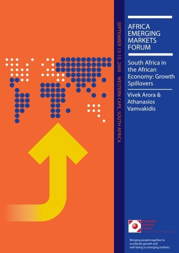 South Africa in the African Economy: Growth Spillovers - Emerging ...