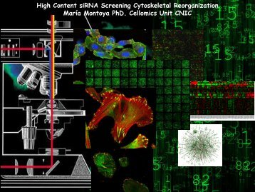 Image Analysis and Data Mining for HCS of Cytoskeletal ... - Knime