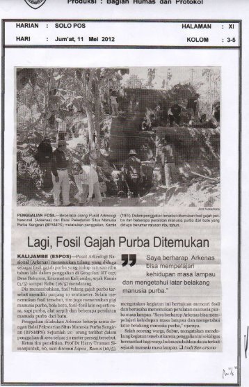 Lagi, Fosil Gajah Purba Ditemukan - Sragen