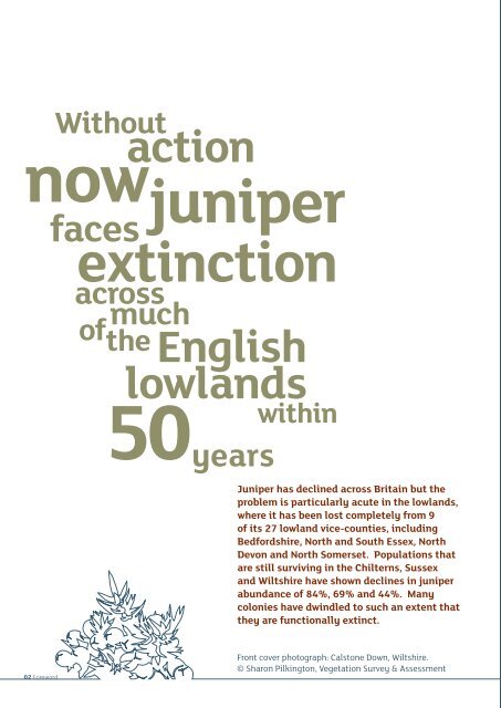 Breaking new ground for juniper - Plantlife