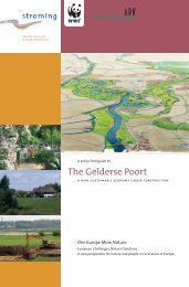 A policy field guide to The Gelderse Poort - Stroming