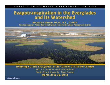 Evapotranspiration in the Everglades and its Watershed