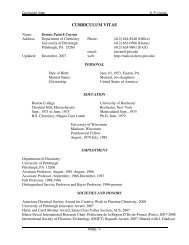 CURRICULUM VITAE - Chaires Blaise Pascal