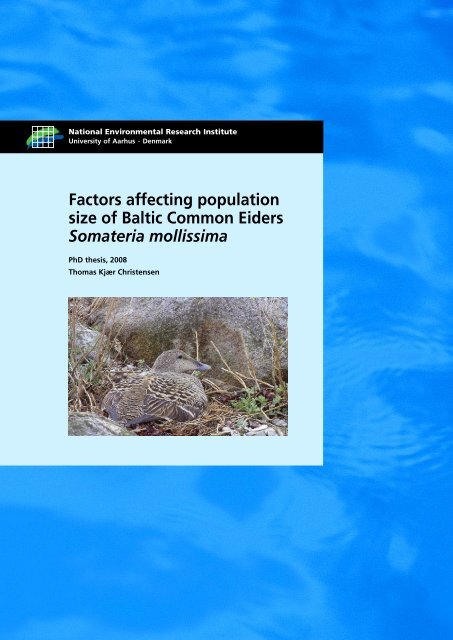 Factors affecting population size of Baltic Common Eiders Somateria ...