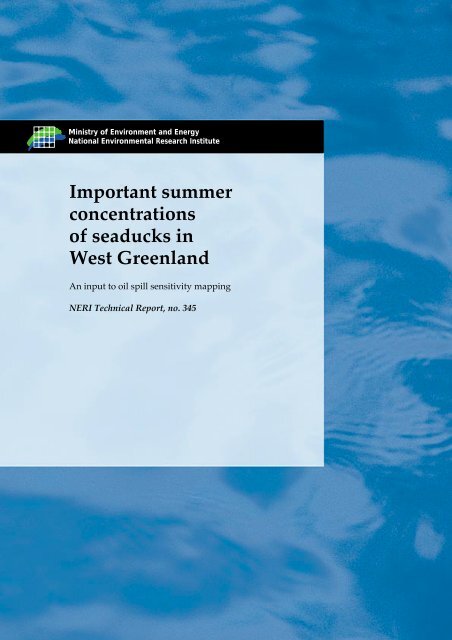 Important summer concentrations of seaducks in West Greenland