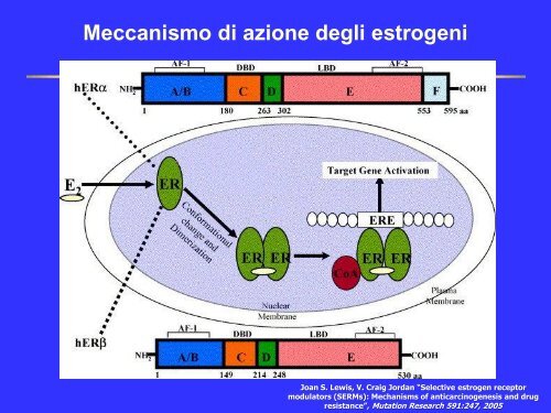 Estrogeni e Progestinici