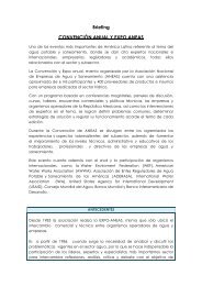 Leer Ficha Informativa - Aneas