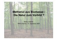 Methanol aus Biomasse - Lehrstuhl für Brennstoffzellen der RWTH ...