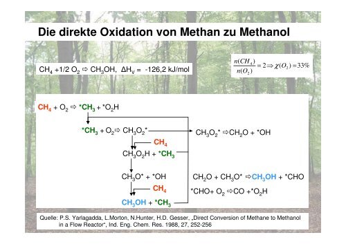 Methanol aus Biomasse - Lehrstuhl für Brennstoffzellen der RWTH ...