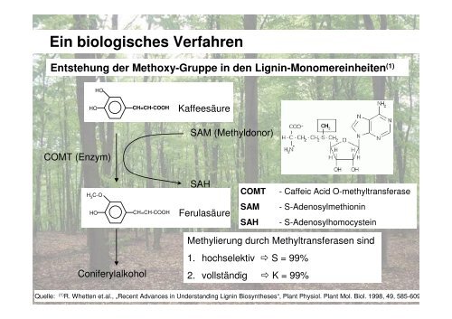 Methanol aus Biomasse - Lehrstuhl für Brennstoffzellen der RWTH ...