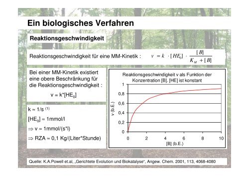 Methanol aus Biomasse - Lehrstuhl für Brennstoffzellen der RWTH ...