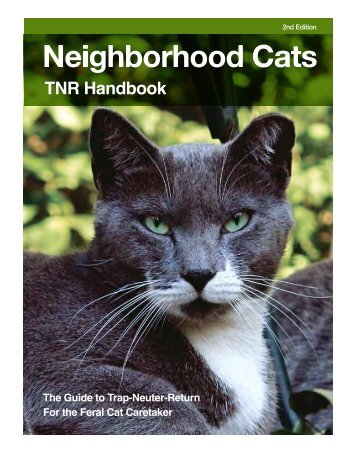 download/print - Neighborhood Cats