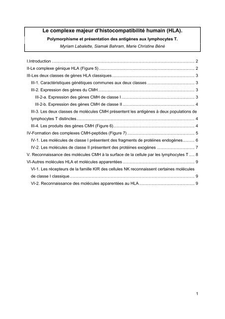 Le complexe majeur d'histocompatibilité humain (HLA). - ASSIM