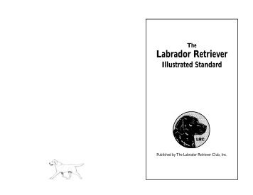 Illustrated Standard - The Labrador Retriever Club